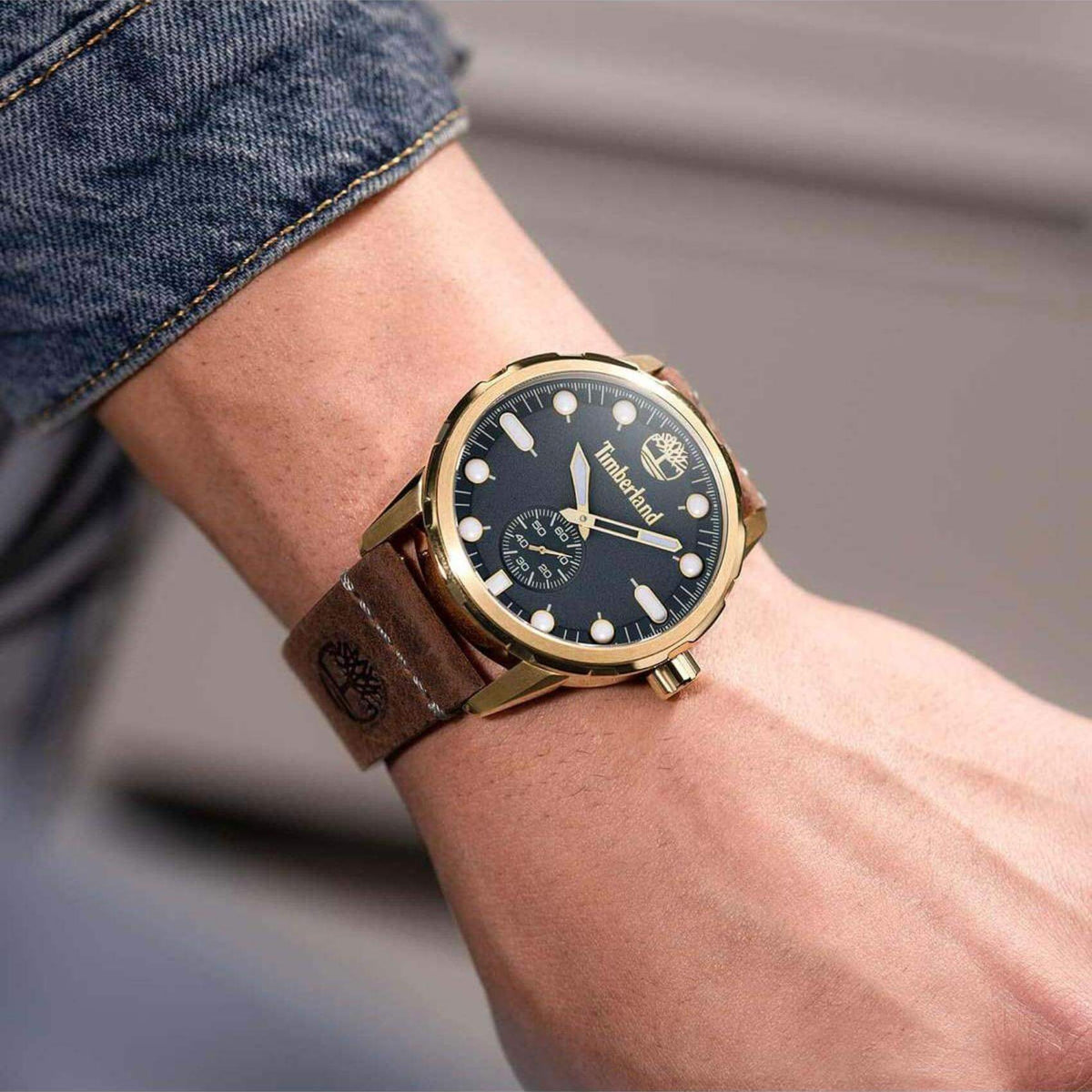 Ρολόι Timberland Adirondack TDWGA0028502 Με Καφέ Δερμάτινο Λουράκι